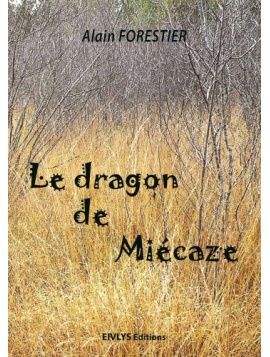 dragon_de_micaze_couv